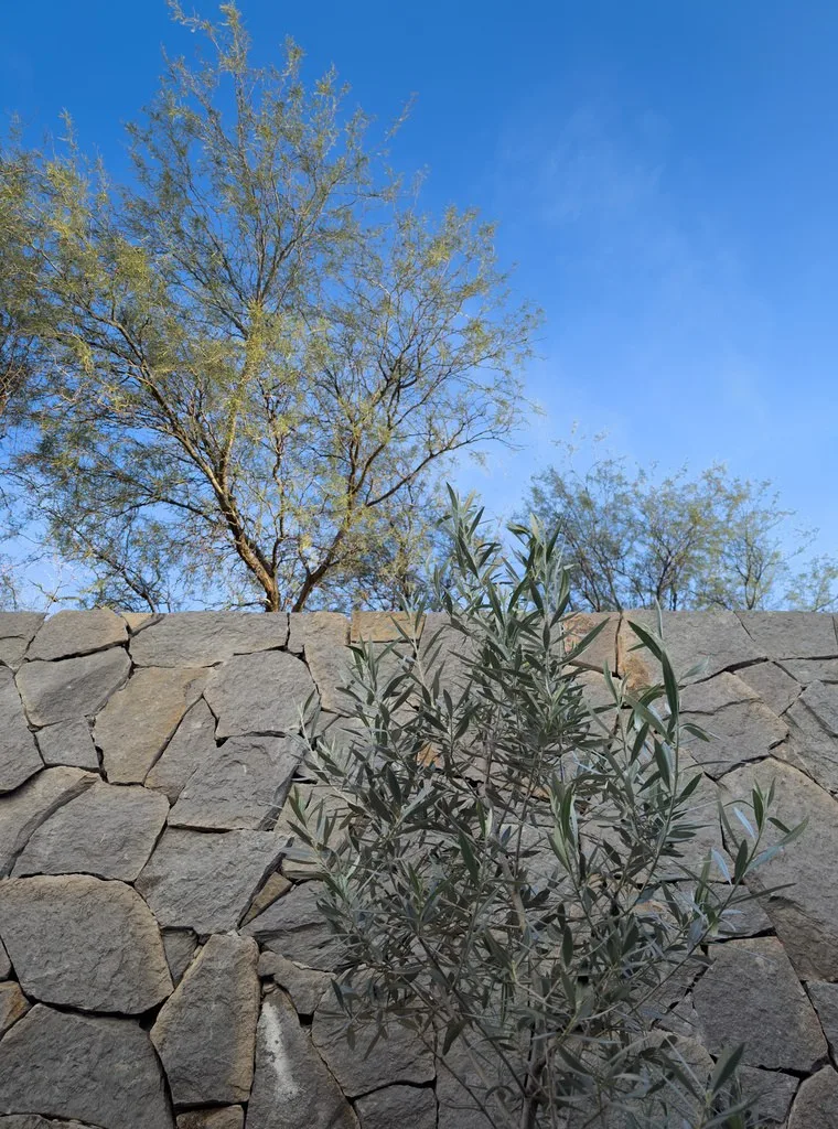 Casa TFO Detalle Piedra