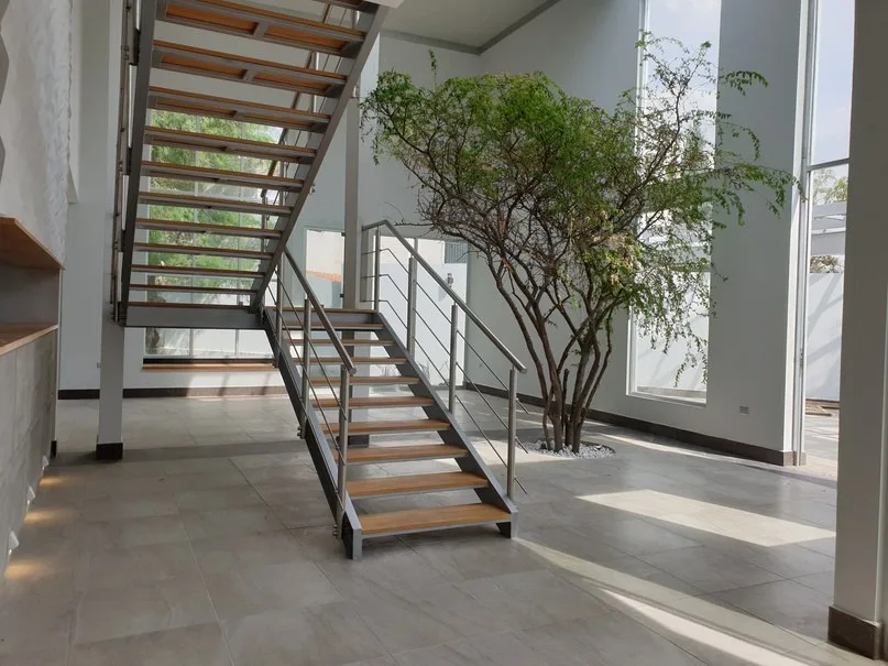Casa LV1 Detalle Árbol